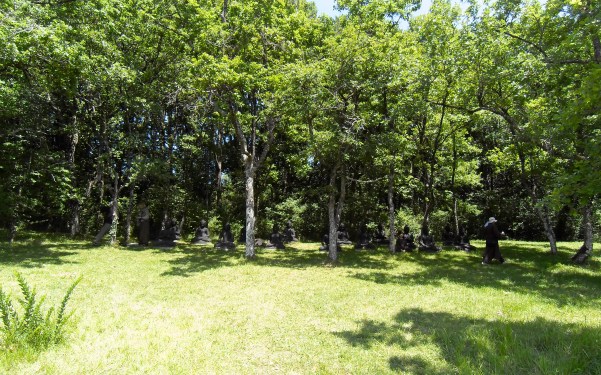 Boeddha.s. boeddhabeelden in Plum Village, mudra's, handhoudingen, mediteren, contemplatie, beelden, boeddha in het bos, onder de bomen, boeddha