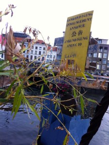 MAS, Museum aan de Stroom, Antwerpen, alternatief terrasje naast het MAS