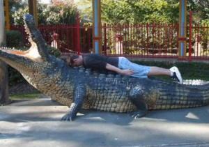 PLANKEN, PLANKING, ALS EEN PLANK ERGENS LIGEN