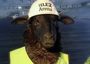 tele2, schaap, schapen, reclame voor, pratend schaap