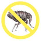 Vlooienplaag, KRIEBEL, JEUK, HONDEN MET JEUK, KATTEN MET JEUK, VLOOIEN, BESTRIJDEN VAN VLOOIEN, 