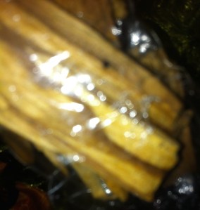 heilig hout, geurend hout, Palo Santo, wensdoos