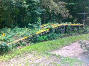 hijskraan,havens van Amsterdam, havensafari, nacht, schip, lichtjes in de nacht , munitie eiland
