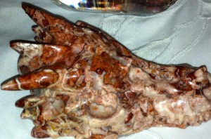 KRISTALLEN SCHEDELS, DRAKENSCHEDELS, KRISTAL, RAVENSCHEDELS, veld van kristallen schedeltjes, lemurische zaadkristallen, heksenvingers, e;fenschedels. ETschedels