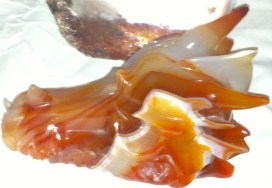 KRISTALLEN SCHEDELS, DRAKENSCHEDELS, KRISTAL, RAVENSCHEDELS, veld van kristallen schedeltjes, lemurische zaadkristallen, heksenvingers, e;fenschedels. ETschedels