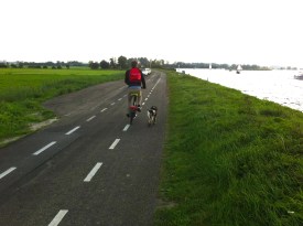 ZIJLDIJK, ZIJL, JOPPE, HOND, FIETS, BOOTJES, ZONLICHT, WOLKENLUCHTEN