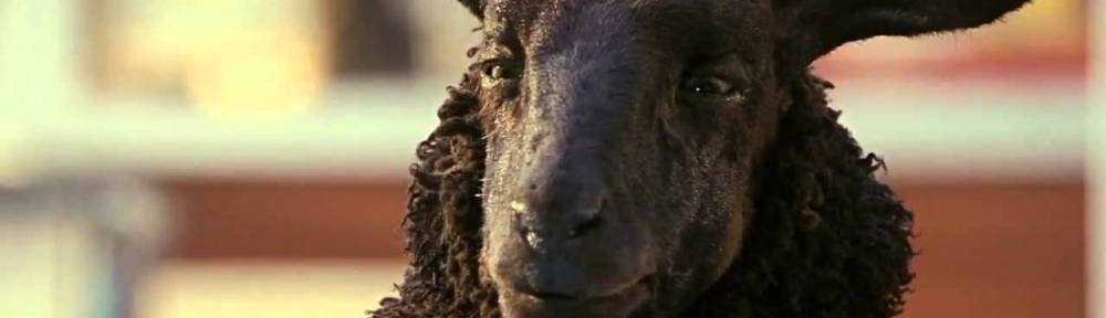 tele2, schaap, schapen, reclame voor, pratend schaap