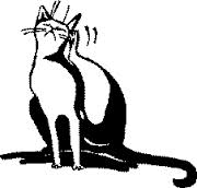 Vlooienplaag, KRIEBEL, JEUK, HONDEN MET JEUK, KATTEN MET JEUK, VLOOIEN, BESTRIJDEN VAN VLOOIEN, 