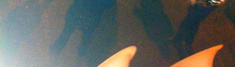 fanfare, toeters, trommels, bewegende fanfare, drumband, trompet, blaaskapel, parade