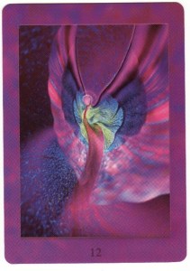 engelen, engel in mijn leven, angels, angel in my life, gevederde vrienden, goddelijke afgezanten