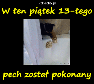 pech, slecht voorteken, zwarte katten, black kat, bad luck