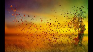 liefde, liefde uitstralen, love, universe, amour, helende liefde, hart,