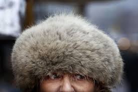 bontmuts, grote muts, bont,beest op hoofd