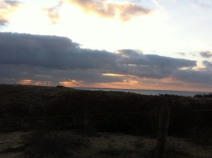 zon, zee, strand, hondje, zeemeeuwen , mooie lucht, wolkt en zon, zonsondergang, wolken, mooie kleuren