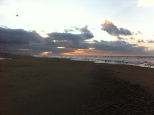 zon, zee, strand, hondje, zeemeeuwen , mooie lucht, wolkt en zon, zonsondergang, wolken, mooie kleuren