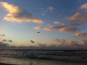 zon, zee, strand, hondje, zeemeeuwen , mooie lucht, wolkt en zon, zonsondergang, wolken, mooie kleuren
