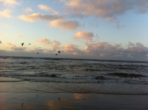 zon, zee, strand, hondje, zeemeeuwen , mooie lucht, wolkt en zon, zonsondergang, wolken, mooie kleuren