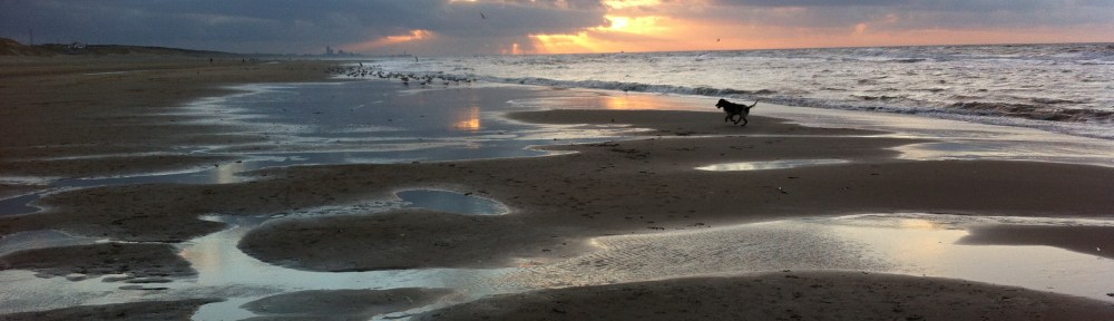 zon, zee, strand, hondje, zeemeeuwen , mooie lucht, wolkt en zon, zonsondergang, wolken, mooie kleuren