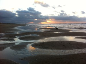 zon, zee, strand, hondje, zeemeeuwen , mooie lucht, wolkt en zon, zonsondergang, wolken, mooie kleuren