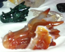 kristallen schedels, meditatie met schedels, draken, stenen, een veld van kristal