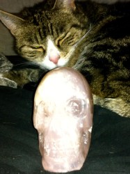 schedel van rozenkwarts met poes