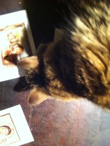 Icoon, geborduurd door Lammert Segaar, borduurwerk, Icoon, kat