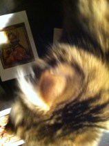 Icoon, geborduurd door Lammert Segaar, borduurwerk, Icoon, kat