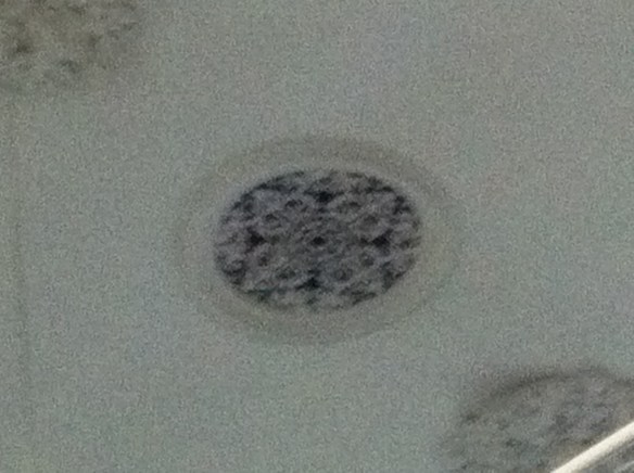 Lokhorstkerk, Leiden, repetite Leidse Koorprojecten, dirigent Wim de Ru