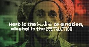 CANNABIS, comic, grap, cartoon weed, 