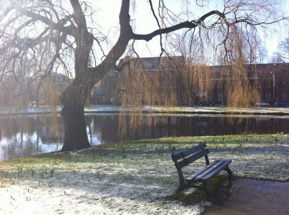 Plantsoen, Leiden, sneeuw, hondjes, man met kinderen, opa met kleinkinderen in kinderwagen, narcissen in de sneeuw, hollands park, kerk, rollen in de sneeuw