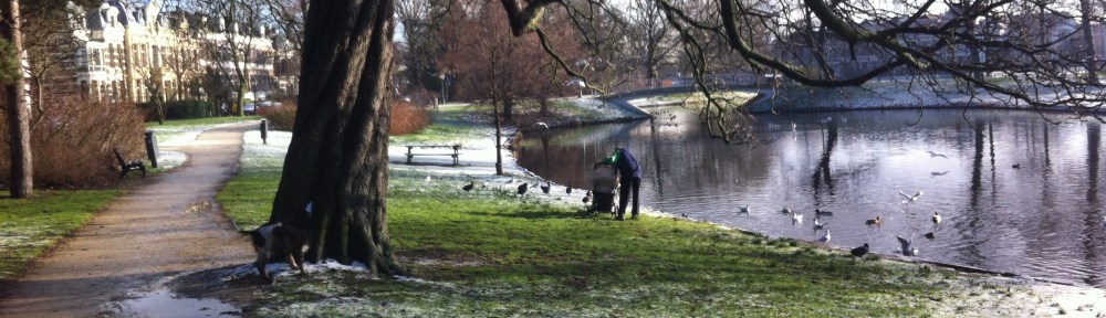 Plantsoen, Leiden, sneeuw, hondjes, man met kinderen, opa met kleinkinderen in kinderwagen, narcissen in de sneeuw, hollands park, kerk, rollen in de sneeuw