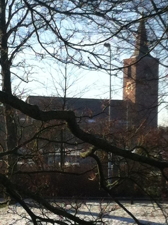 Plantsoen, Leiden, sneeuw, hondjes, man met kinderen, opa met kleinkinderen in kinderwagen, narcissen in de sneeuw, hollands park, kerk, rollen in de sneeuw