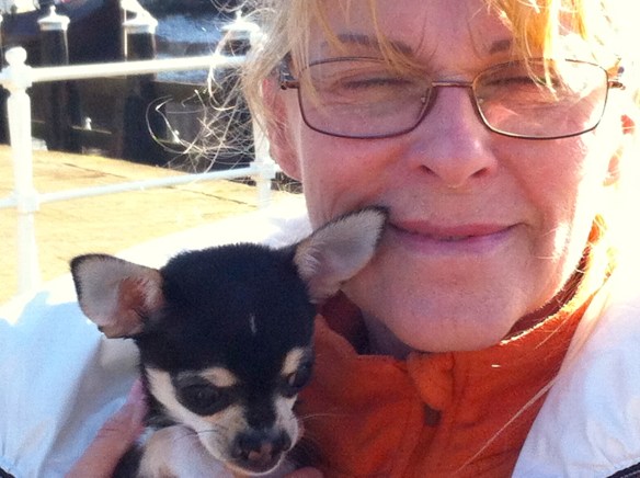 vrouw me hondje, chiwawa met hazenlip, gehandicapt puppy, pup, hazenlip, gek neusje bij hond