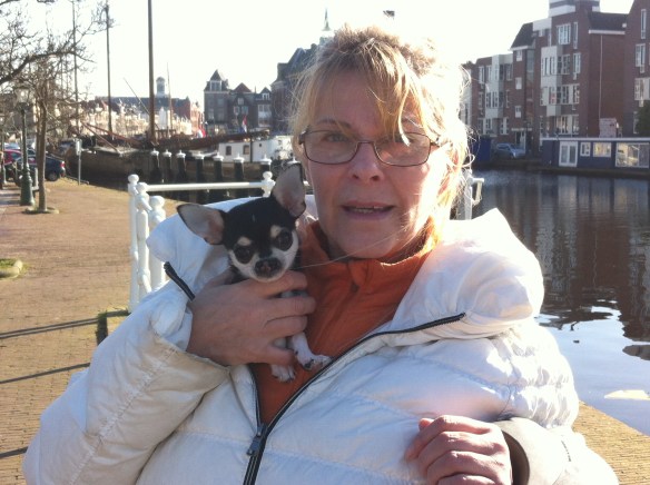vrouw me hondje, chiwawa met hazenlip, gehandicapt puppy, pup, hazenlip, gek neusje bij hond