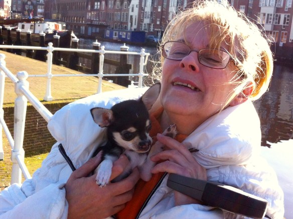 vrouw me hondje, chiwawa met hazenlip, gehandicapt puppy, pup, hazenlip, gek neusje bij hond