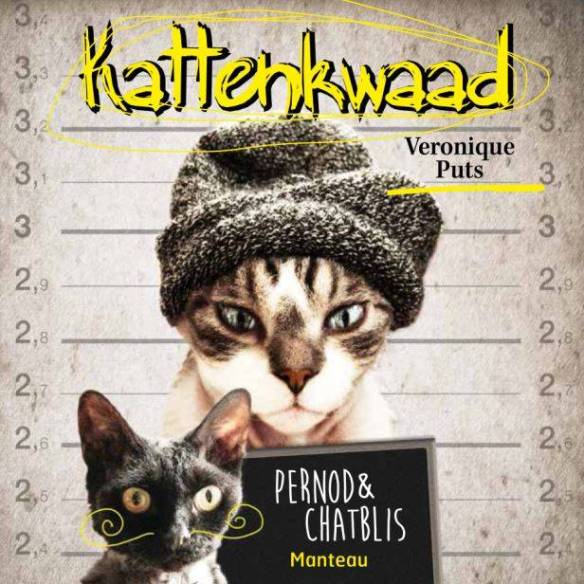 kattenkwaad, ONDEUGENDE POESJES, stoute katten, kattenrug, poezen met streken