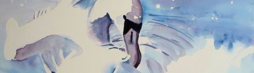 Zwaan, vogel, zwanen,