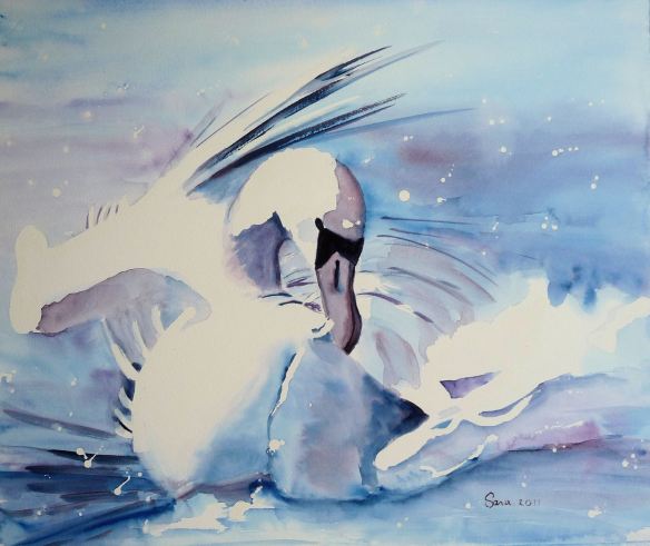 Zwaan, vogel, zwanen,