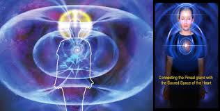 HEILIGE GEOMETRIE, FLOWER OF LIFE, GEOMETRIE VAN DE SCHEPPING, MERKABA, 