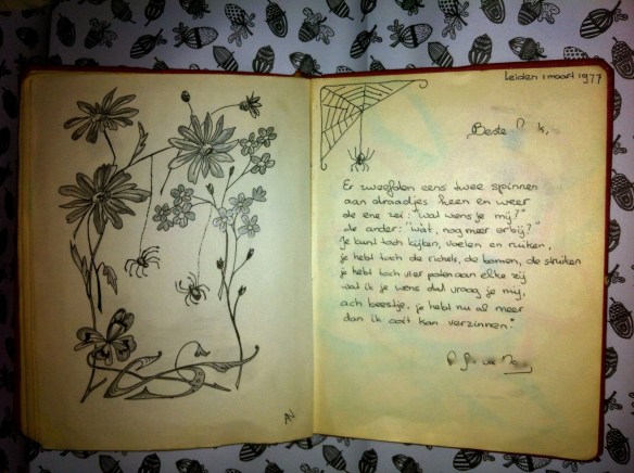 door een noodlottig ongeval poezie. poëziealbumversjes, poëziealbum, poëzieplaatjes, gedichtjes, in poëziealbum
