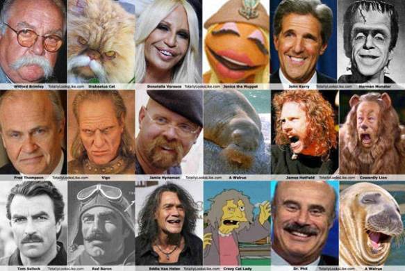 looks-like DR phil animal 