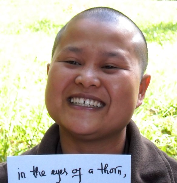 engaged artist, Boeddhist art, Boeddhistische kunst, Plumvillage, 2014, workshop