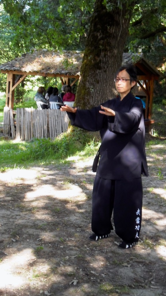 engaged artist, Boeddhist art, Boeddhistische kunst, Plumvillage, 2014, workshop