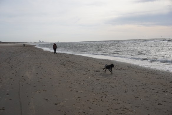 knappe man aan het strand, oprit naar strand, kust, Wassenaarse Slag, hond en man,. balletje gooien, Scheveningen in de verte