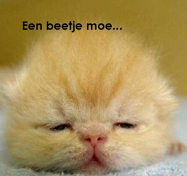 I'm so tired, ik ben zo moe, vermoeidheid, doodmoe, gapen, slapen, uitgeput