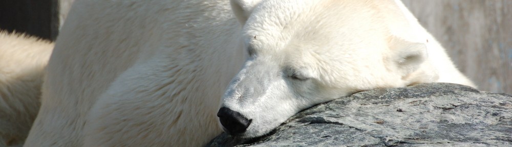 I'm so tired, ik ben zo moe, vermoeidheid, doodmoe, gapen, slapen, uitgeput