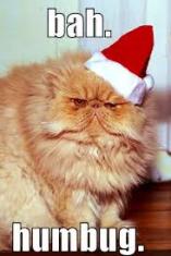 BAH, BAH HUMBUG, 