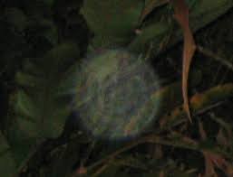 ORBS, BURCHT LEIDEN, magische lichtbollen, engelen energie