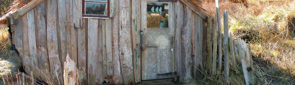 KLEIN HUISJE, huis, grappig huisje, een leeg huis