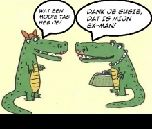 RELATIES, STRESS, RUZIES, PROBLEMEN, LIEFDESPERIKELEN